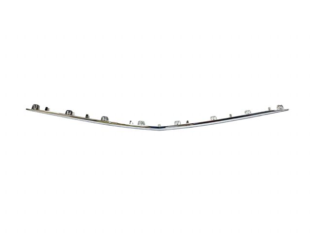 FRONT LOWER MOULDING